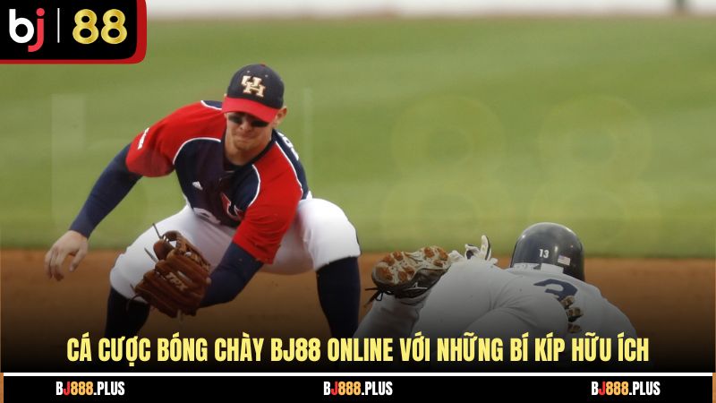 Cá Cược Bóng Chày - Mẹo Chơi Bách Trúng Bách Thắng 2026