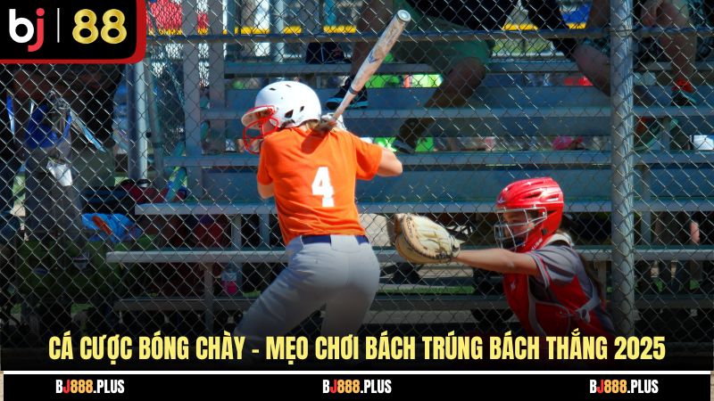 Cá Cược Bóng Chày - Mẹo Chơi Bách Trúng Bách Thắng 2026