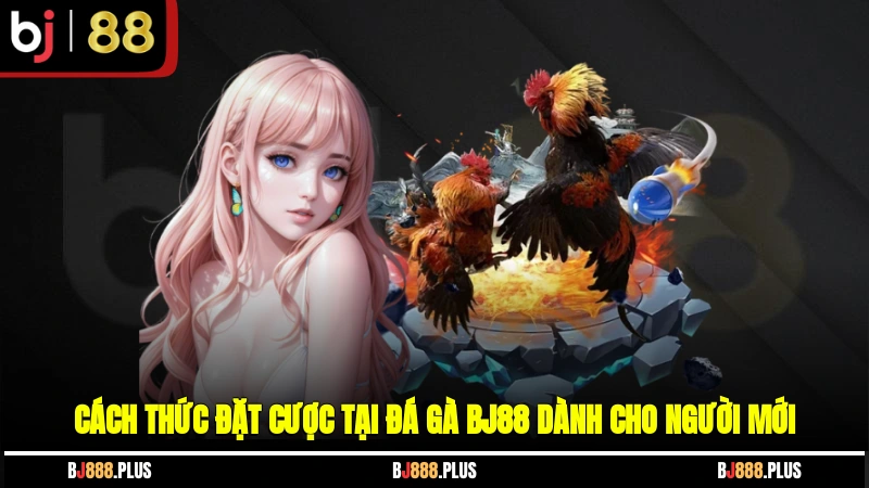 Đá Gà BJ88 - Mãn Nhãn Với Cuộc So Tài Kê Chiến Đỉnh Cao