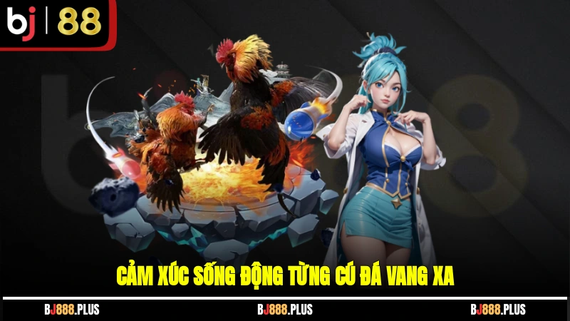 Đá Gà BJ88 - Mãn Nhãn Với Cuộc So Tài Kê Chiến Đỉnh Cao