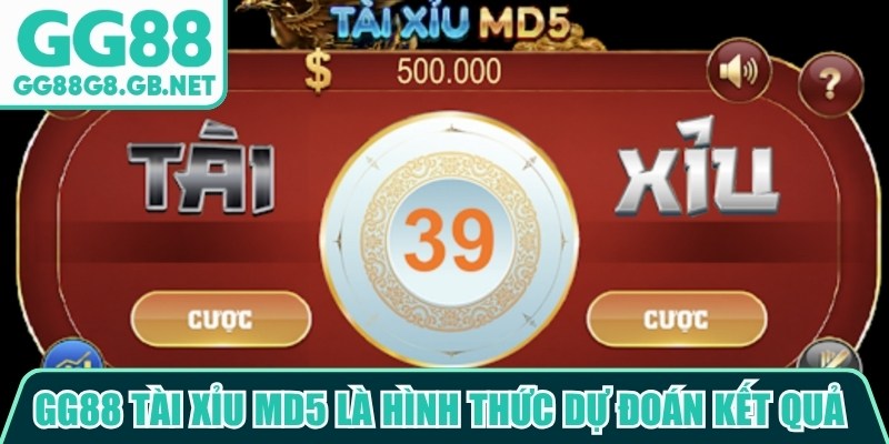 GG88 Tài Xỉu MD5 - Lựa Chọn Nổi Bật Cho Trải Nghiệm Mới